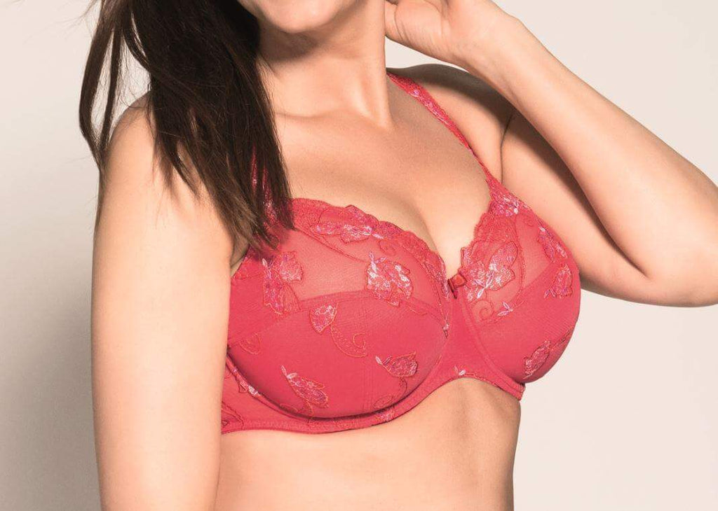 Ulla Carla Underwired Full Cup Lace Bra